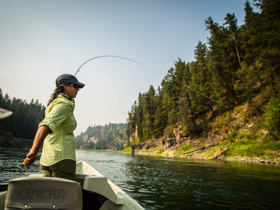 Kootenai River Fly Fishing Report - Kootenai Canyon Anglers